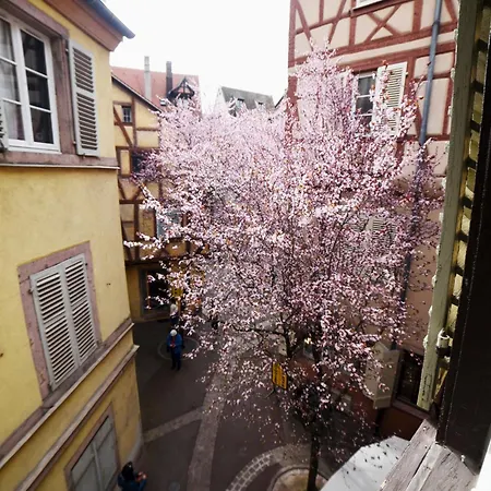 Bim Maidala Apartment Colmar