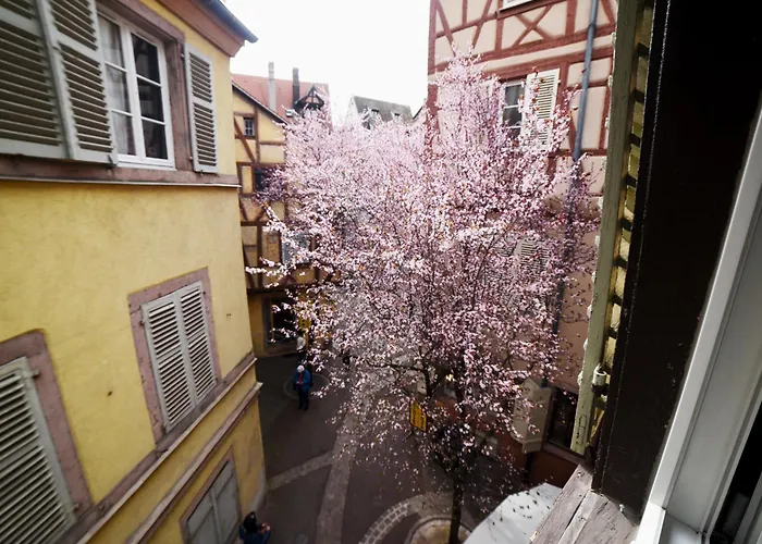 Bim Maidala Apartamento Colmar